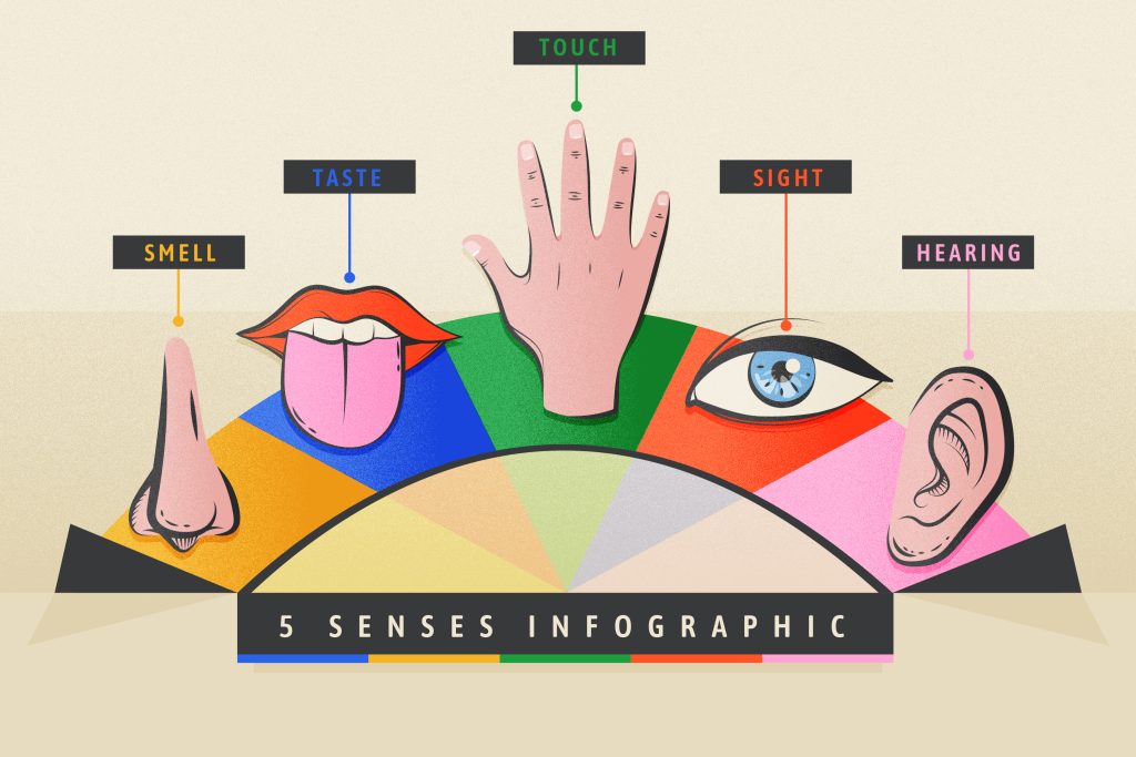 An infographic showcasing the five senses.