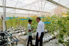 General Manager Swiss Bel Hotel masuk ke dalam Greenhouse