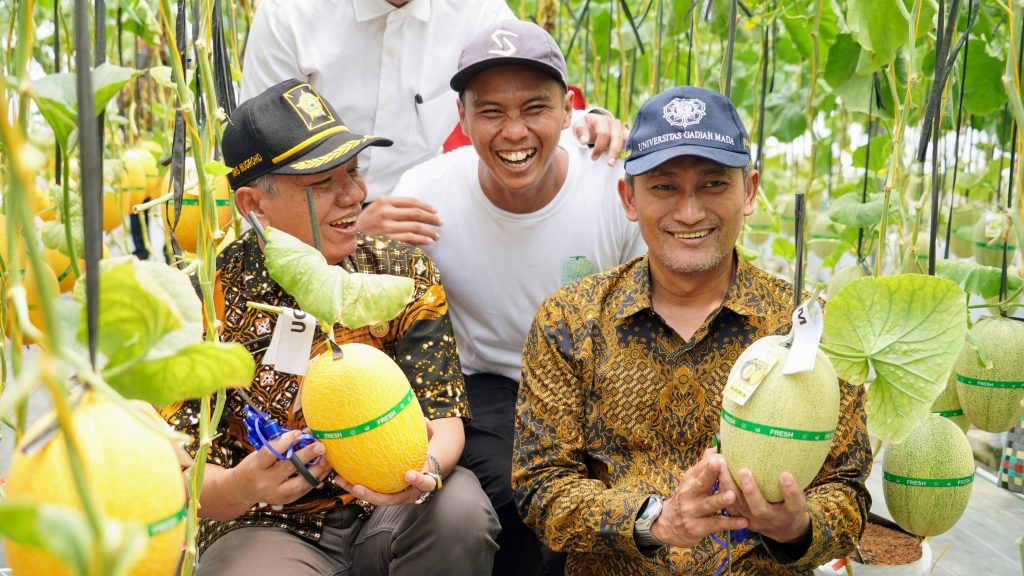 Prosesi Panen raya dilaksanakan di Conference Room Field Research Center (FRC) Sekolah Vokasi UGM dan Greenhouse FASTAN Kelompok Tani Gisik Pranaji Bugel 2, Panjatan, Kulon Progo