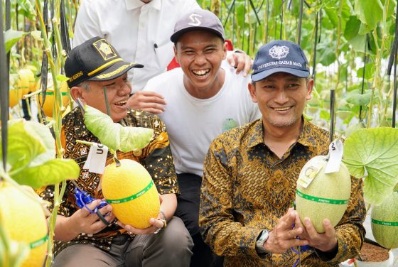Prosesi Panen raya dilaksanakan di Conference Room Field Research Center (FRC) Sekolah Vokasi UGM dan Greenhouse FASTAN Kelompok Tani Gisik Pranaji Bugel 2, Panjatan, Kulon Progo